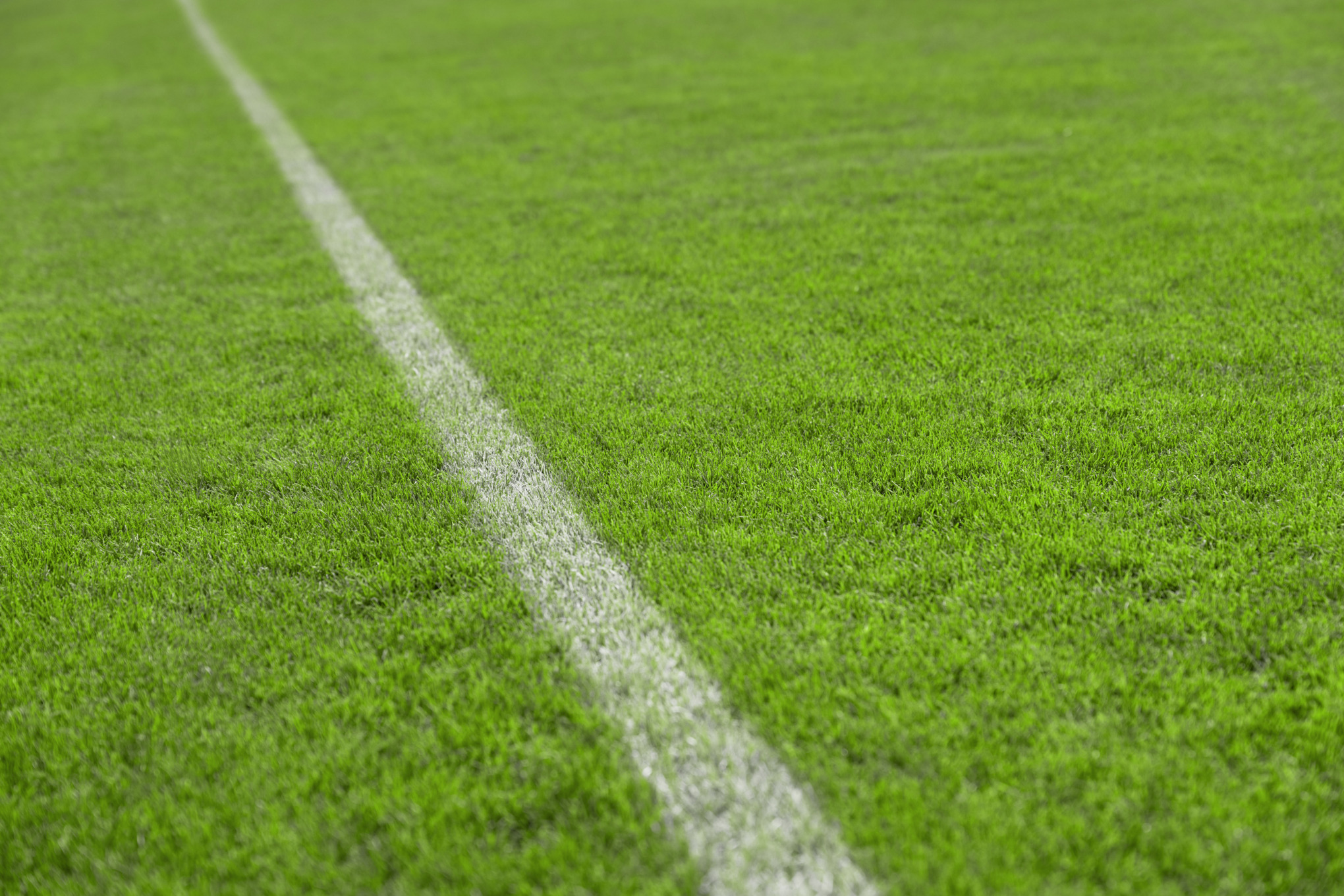 Sports turf mown short and even