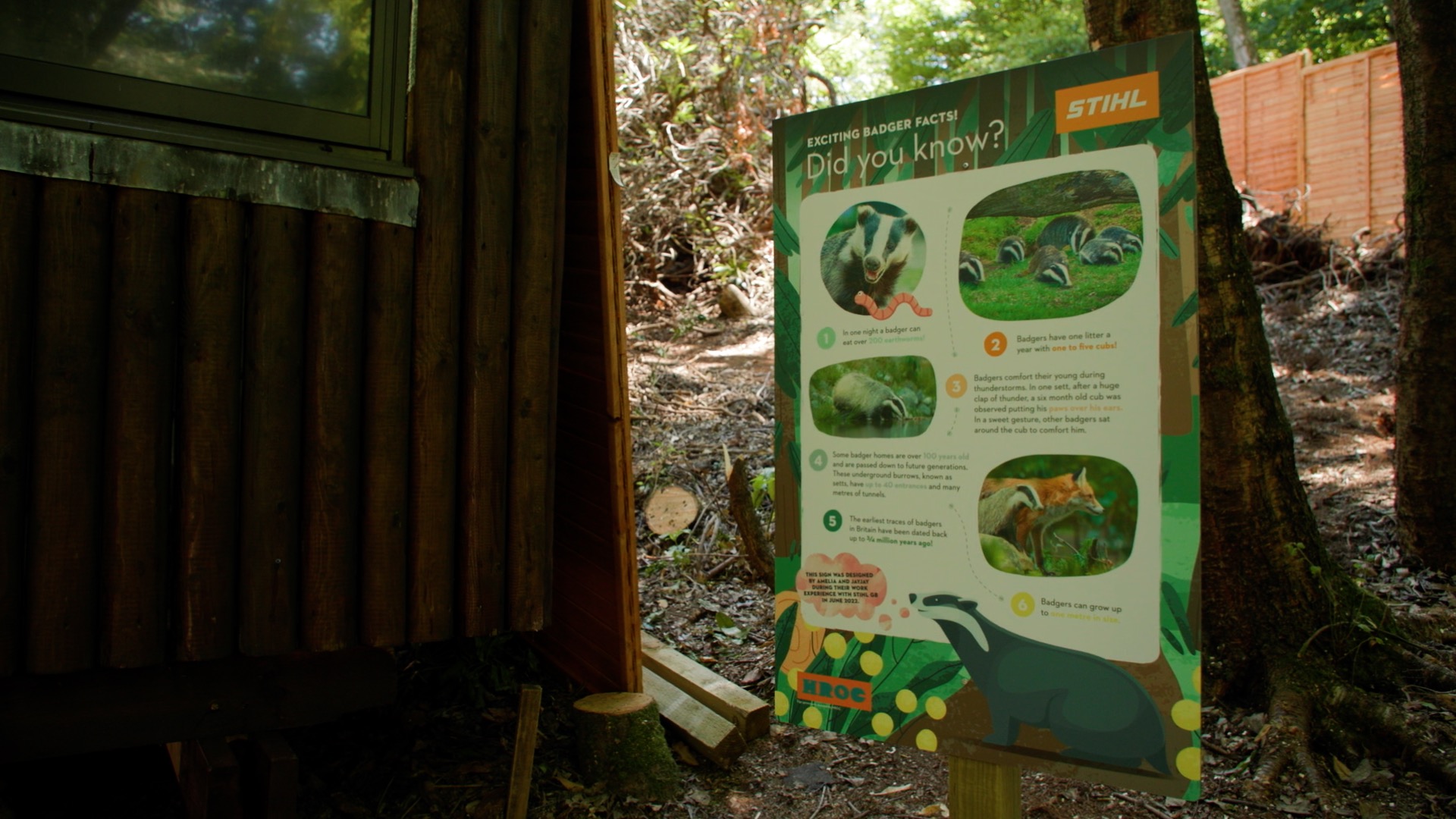 Badger hide information board