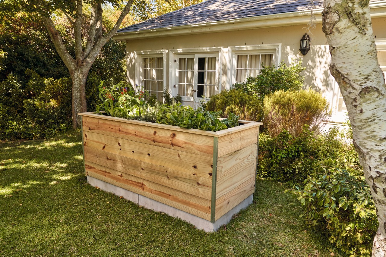 Raised bed in a sunny green garden