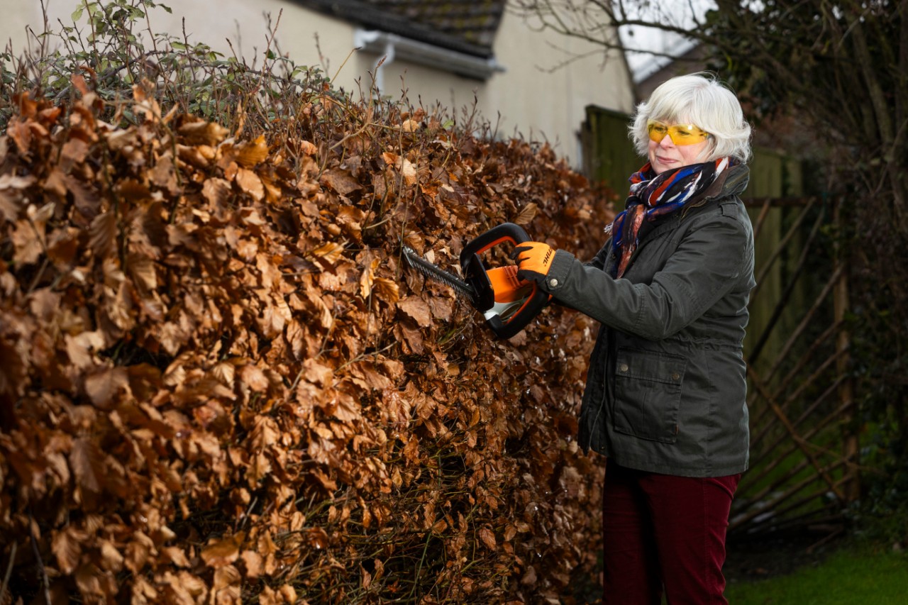 Jane Moore trimming brown beech hedge with STIHL hedgetrimmer