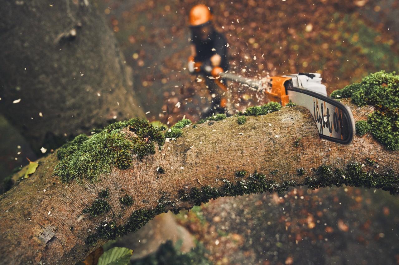 A man sawing branches from a tree with a STIHL HTA 160 battery pole pruner.