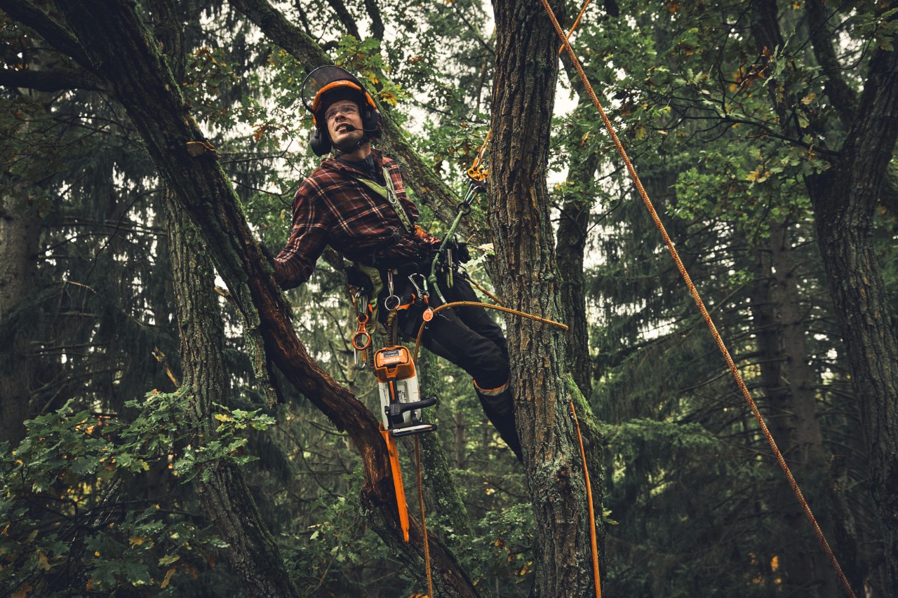 A man cutting branches with a STIHL MSA 190 T battery-powered chainsaw