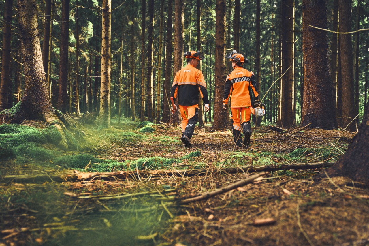 Rear view of forestry workers wearing STIHL protective clothing that is easy to move around in