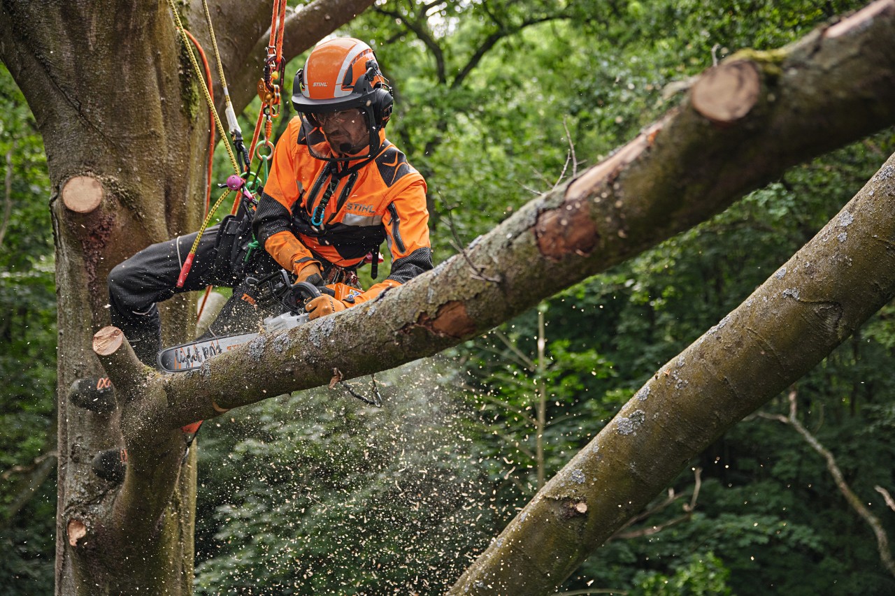 An arborist working in the crown of a tree with the STIHL MSA 220 TC-O battery chainsaw, kitted out with forestry personal protective equipment