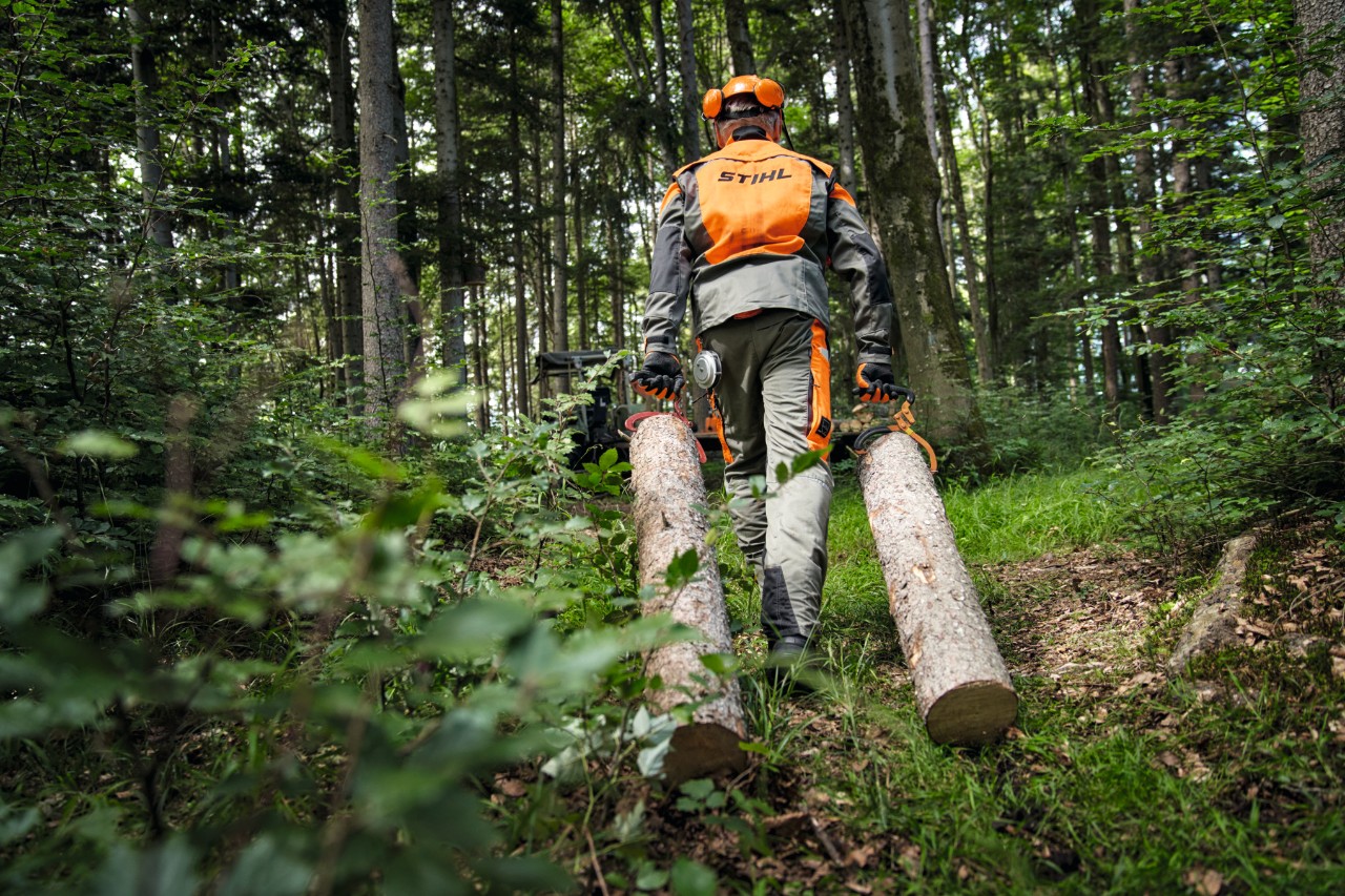 Forestry worker wearing STIHL protective equipment transporting timber on a forest road