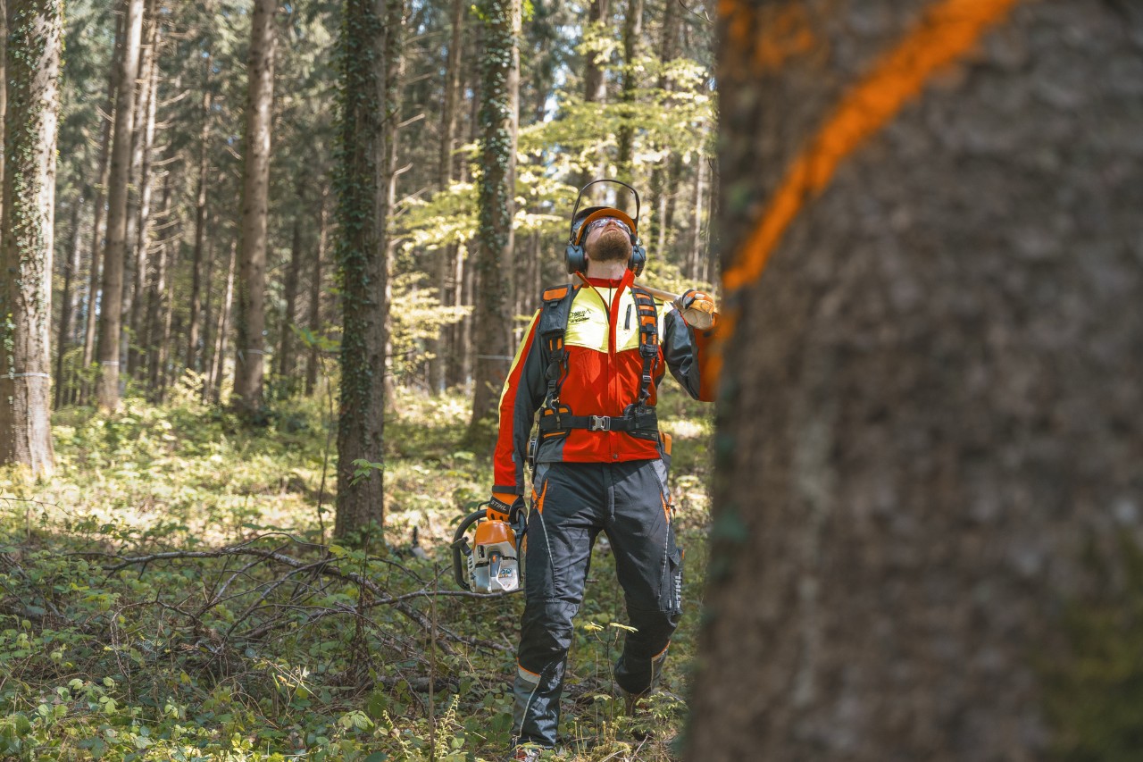 Master Forester Markus Küchler holding a STIHL power tool and standing in front of a tree with a coloured mark 