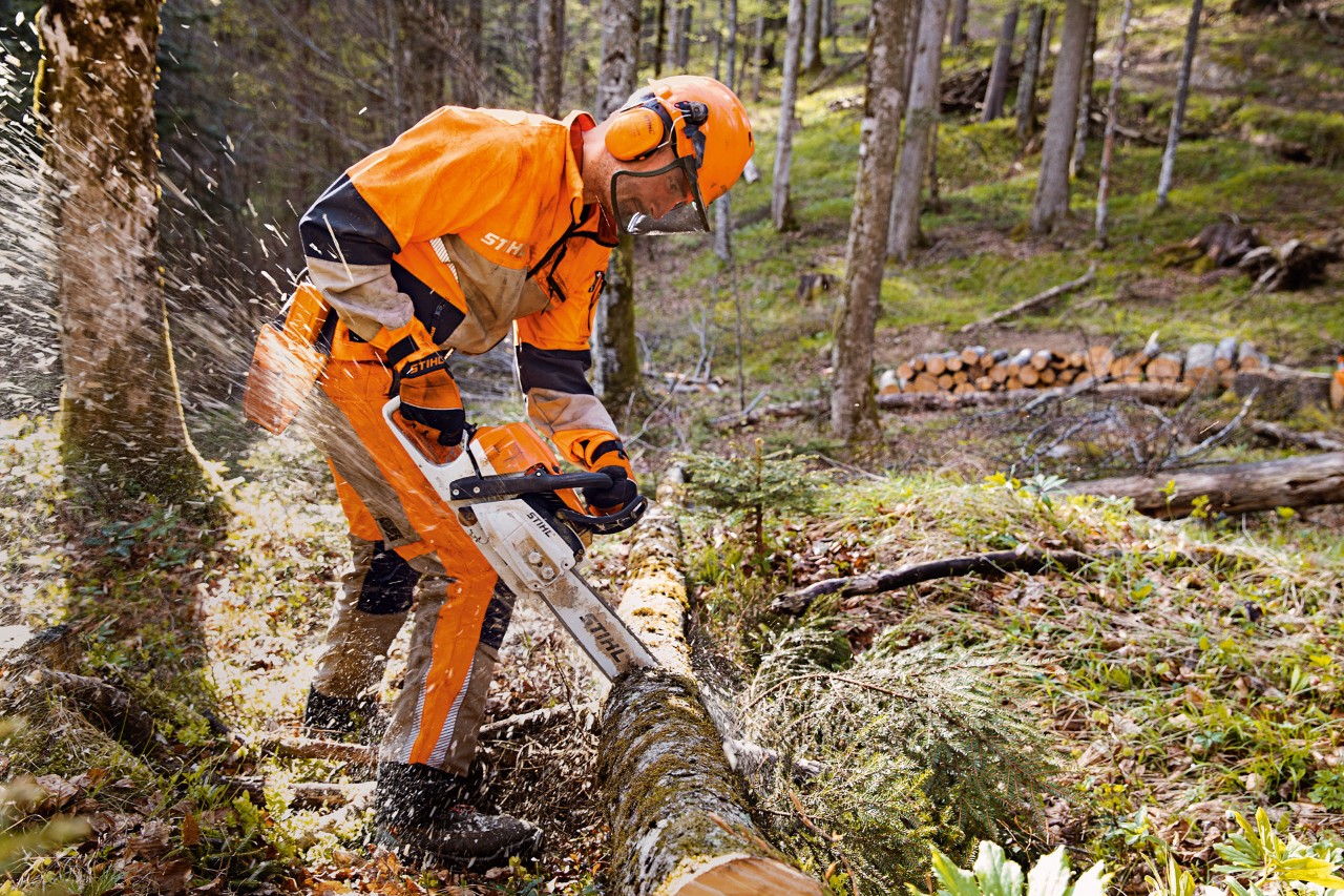 A man in protective clothing saws a log.