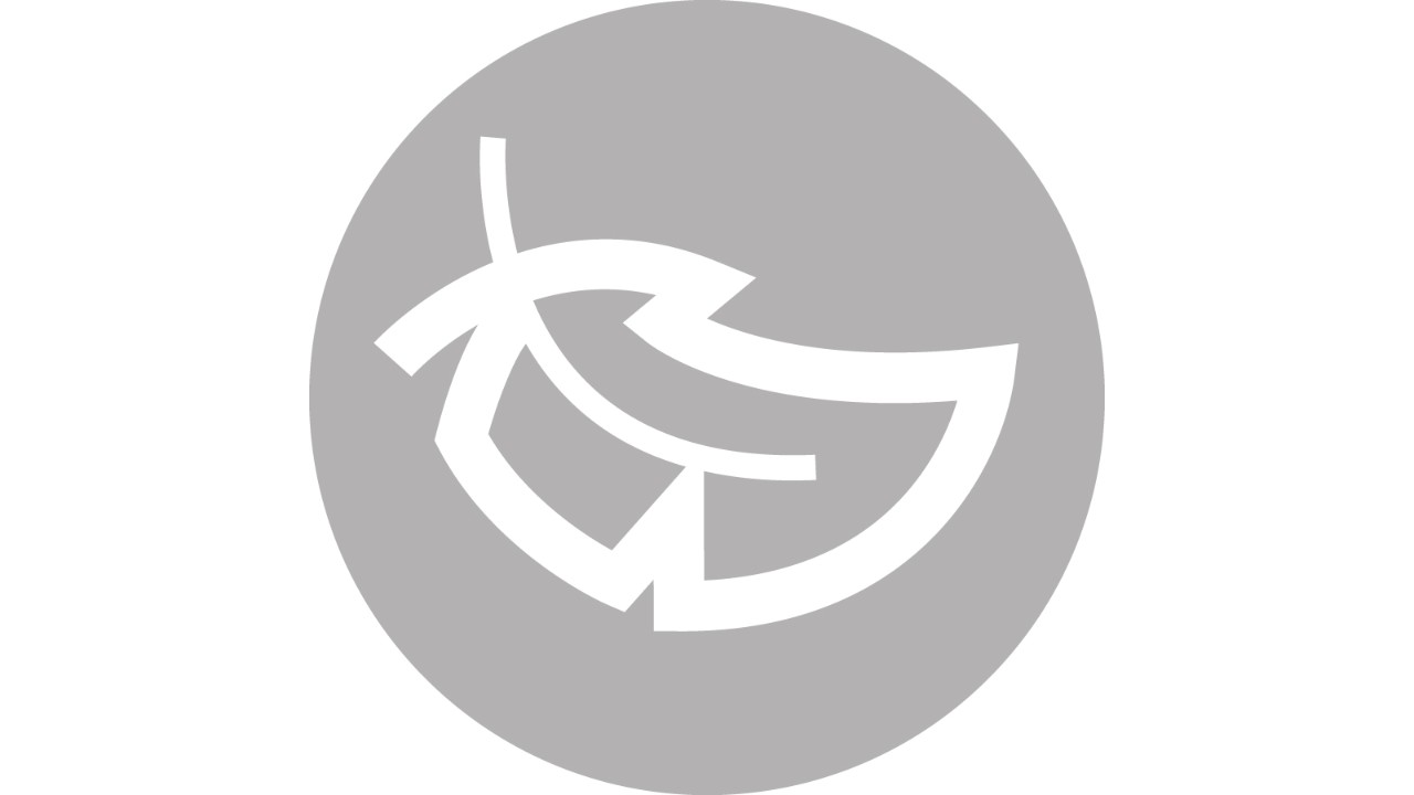 ICON spring