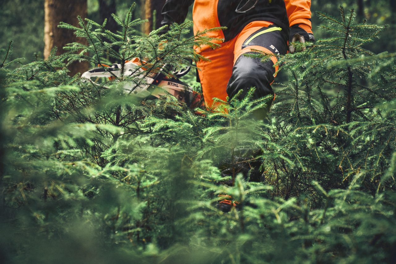 Close-up of STIHL ADVANCE FlexTEC ShellTEC trousers in a coniferous forest
