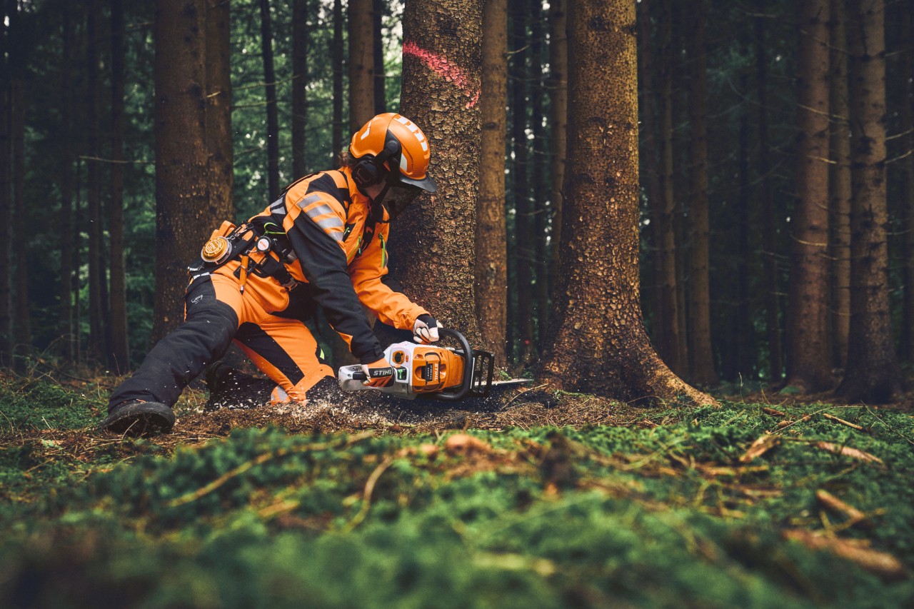Forestry worker in STIHL ADVANCE FlexTEC ShellTEC cuts down a tree with a STIHL chainsaw