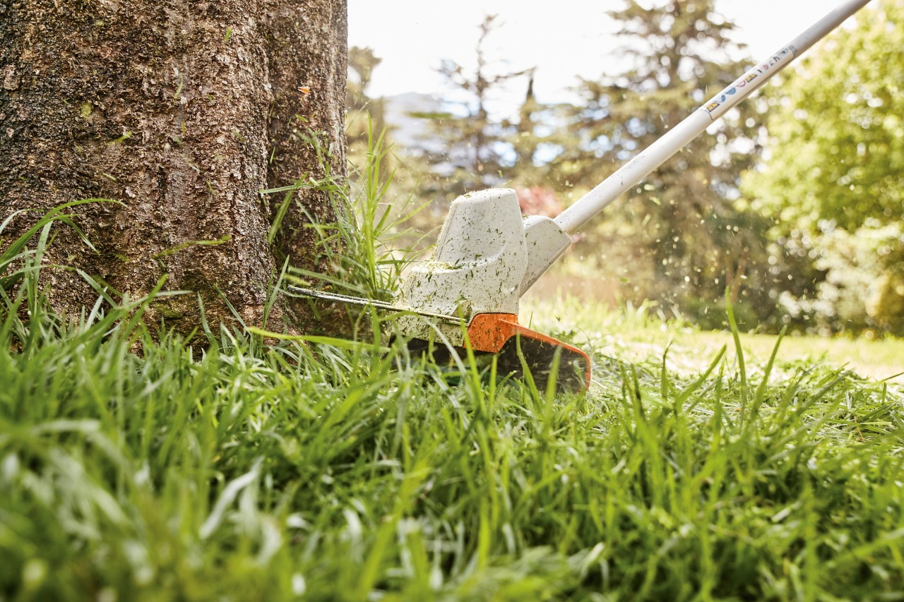  Lawn edges around a tree being cut with a STIHL FS 57 battery clearing saw