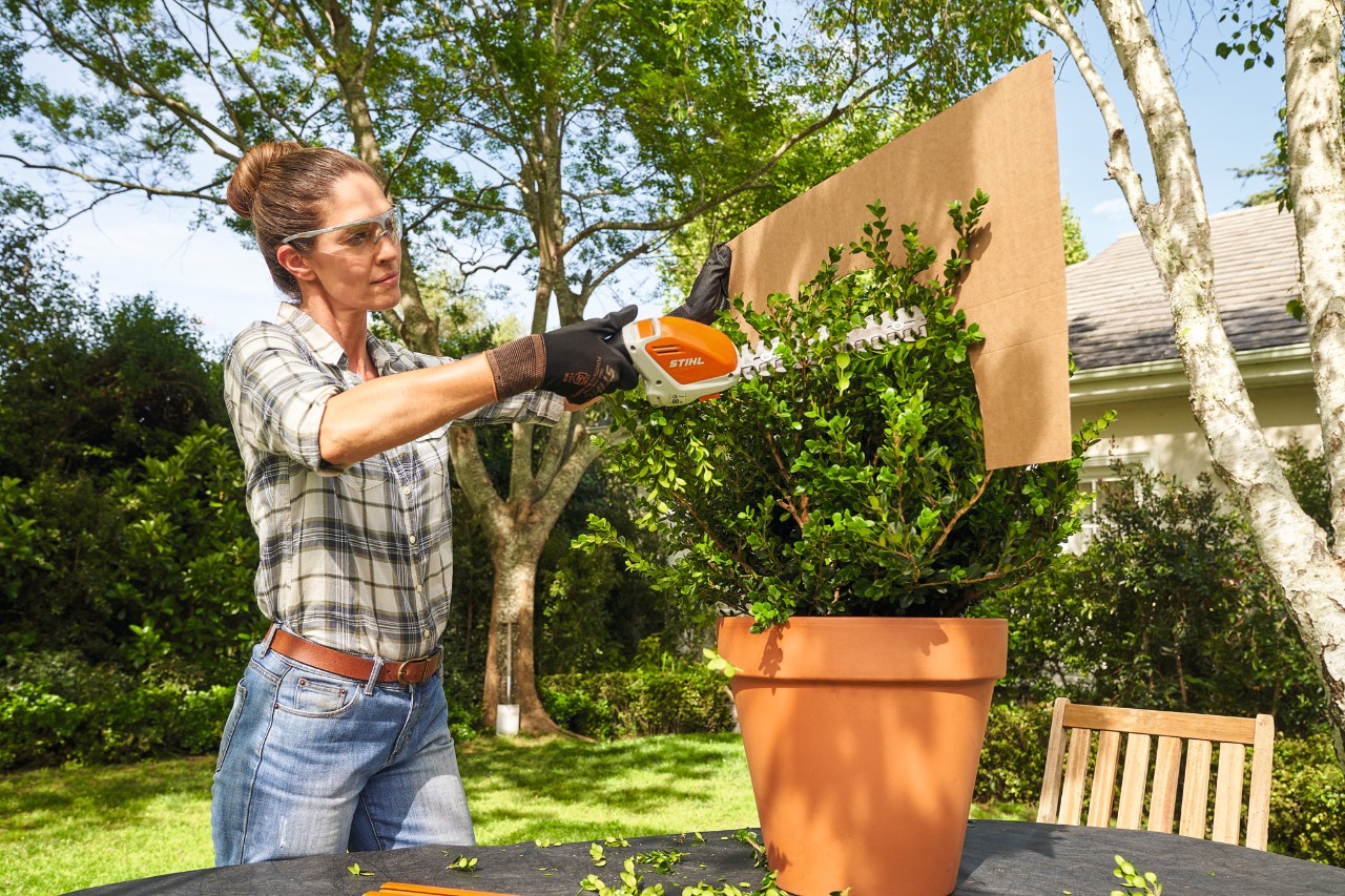 A woman trimming a box bush into a ball shape using STIHL HSA 26 battery shrub shears and a cardboard template