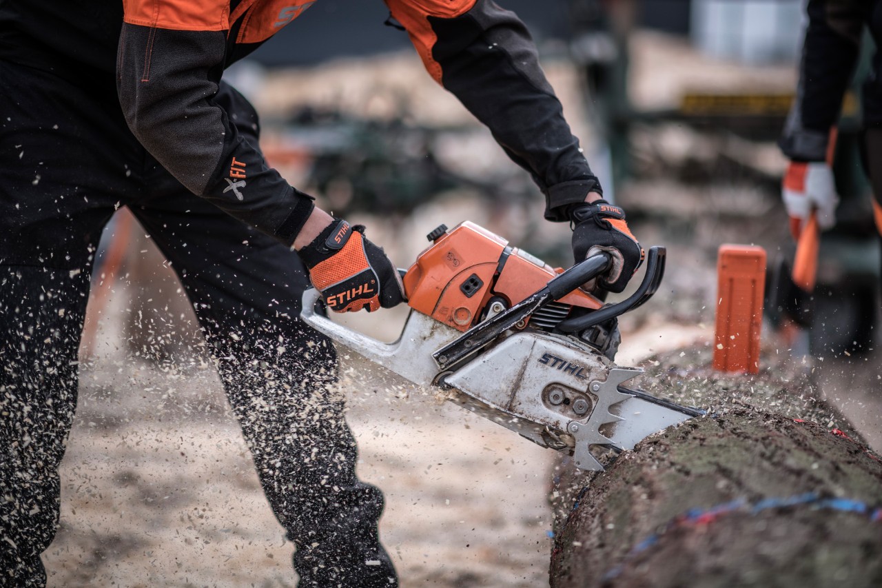 A man cuts a log with a saw