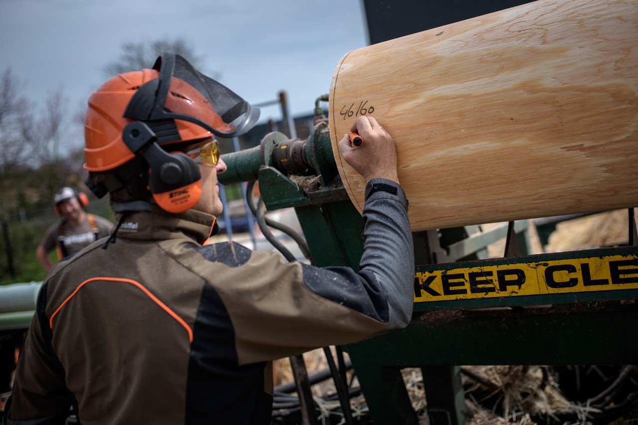 STIHL TIMBERSPORTS® timber manager Bart Jansen labels logs for a competition